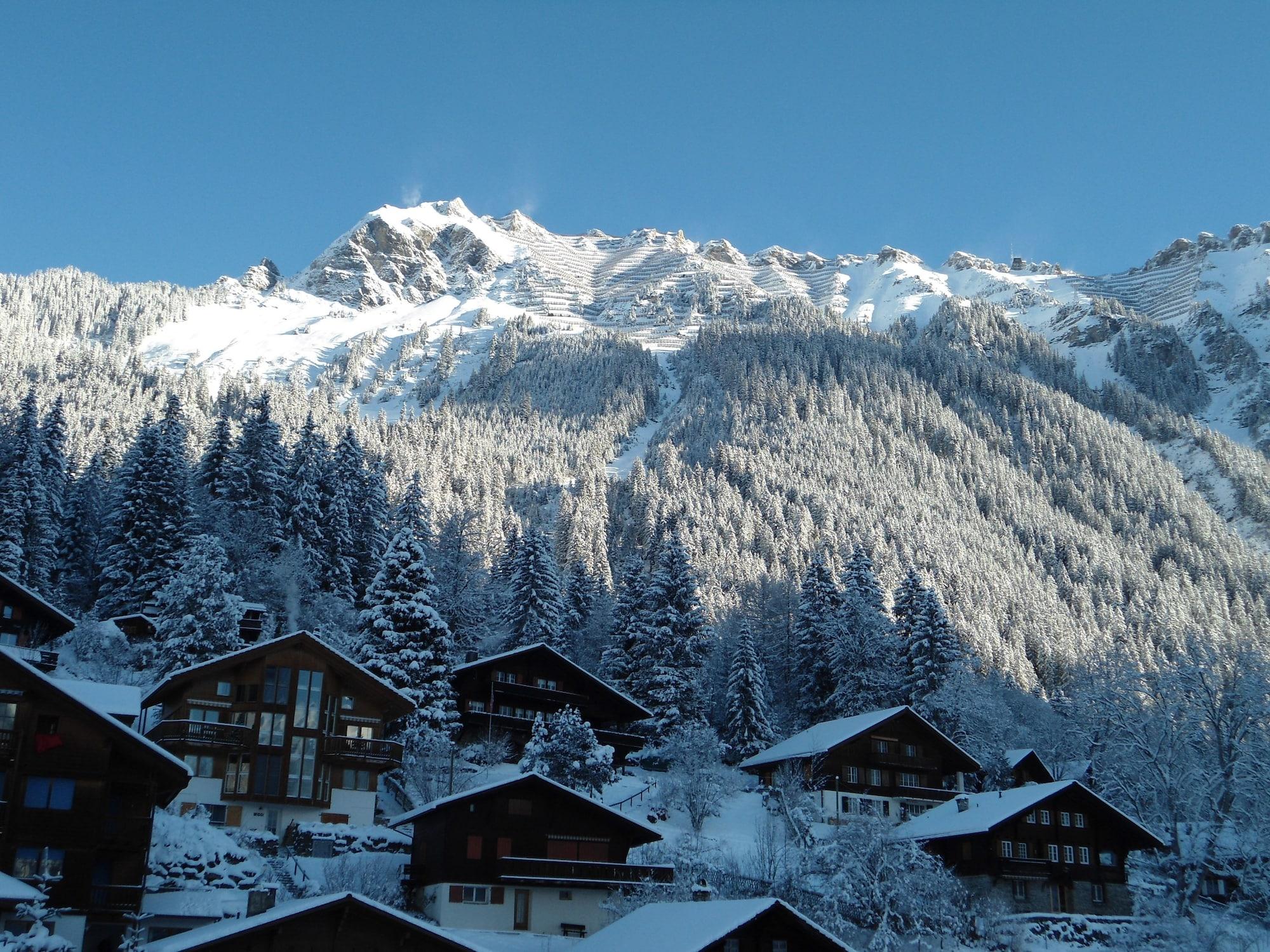 Hotel Belvédère Wengen Exterior foto